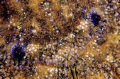 tkm001_546030
