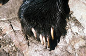 tkm001_605251