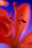tkm001_610168