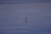 tkm001_629430