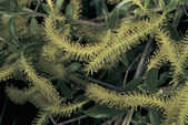 tkm001_769206
