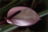tkm001_770095
