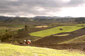 tkm001_774472