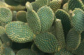 tkm001_775071