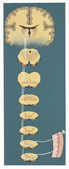 tkm001_777176