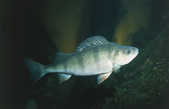 tkm001_780067