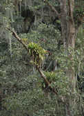 tkm001_782175