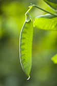 tkm001_801525