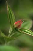 tkm001_805301