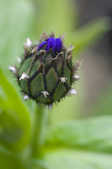 tkm001_805978