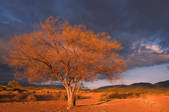 tkm001_855551