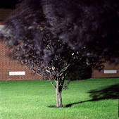 tkm001_876008