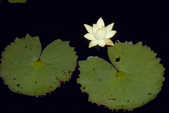 tkm003_185059