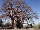 tkm003_186003