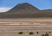 tkm003_187816