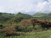 tkm003_198882