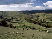 tkm003_199045