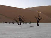 tkm003_200231