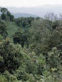 tkm003_200340