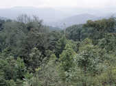 tkm003_200341