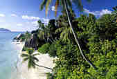 tkm003_202142