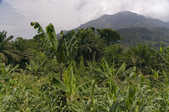 tkm003_202971