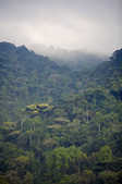 tkm003_204539