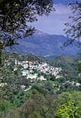 tkm003_204808