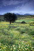 tkm003_204812