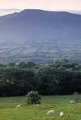 tkm003_206759