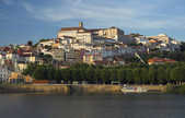 tkm003_208216
