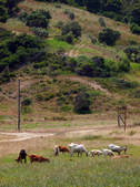 tkm003_538703