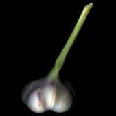 tkm003_542333