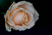 tkm003_550663