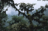 tkm003_576799