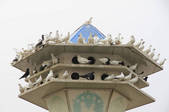 tkf002_101231