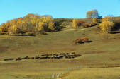 tkm002_101857