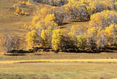 tkm002_101858