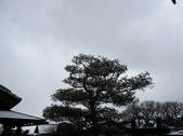 tkf002_107412