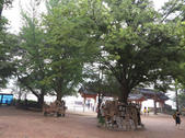 tkf002_131181