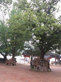 tkf002_131182