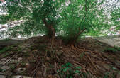 tkf002_114901