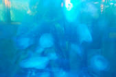tkf002_109744