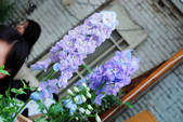 tkf002_110203