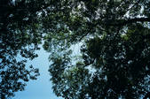 tkf002_111292