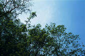 tkf002_111298