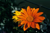 tkf002_111340