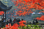 tkf002_112323