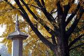 tkf002_112332
