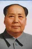 tkf005_2305692